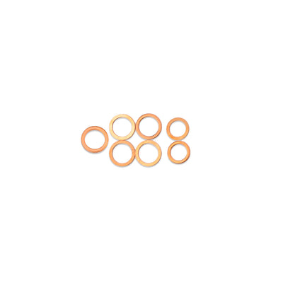 IAG Oil Feed & AVCS Line Replacement Crush Washer Kit - For IAG-ENG-2070 / IAG-ENG-2072